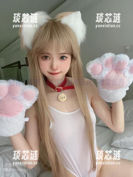 白衬衫壁纸，满满的倦倦喵风，谁会抵挡得住？